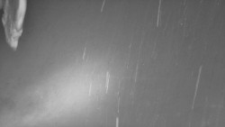 Nástup na běžecké tratě