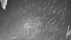 Nástup na běžecké tratě