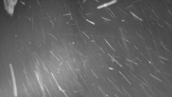 Nástup na běžecké tratě