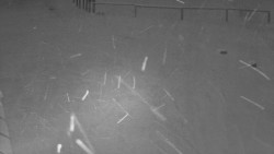 Nástup na běžecké tratě