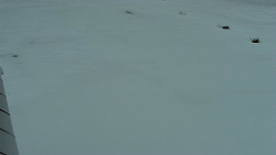 Nástup na běžecké tratě