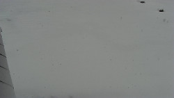 Nástup na běžecké tratě