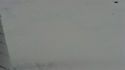 Nástup na běžecké tratě