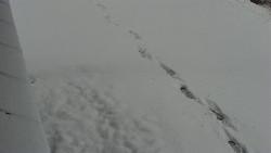 Nástup na běžecké tratě