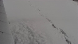 Nástup na běžecké tratě