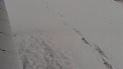 Nástup na běžecké tratě