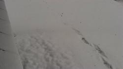 Nástup na běžecké tratě