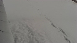 Nástup na běžecké tratě