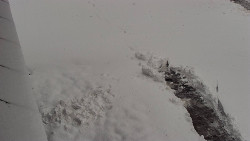 Nástup na běžecké tratě