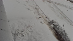 Nástup na běžecké tratě