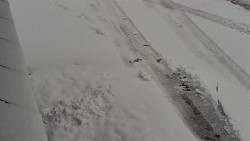 Nástup na běžecké tratě