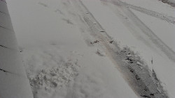 Nástup na běžecké tratě