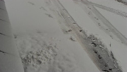 Nástup na běžecké tratě