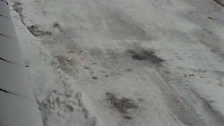 Nástup na běžecké tratě