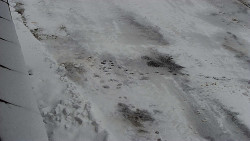 Nástup na běžecké tratě