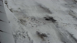 Nástup na běžecké tratě