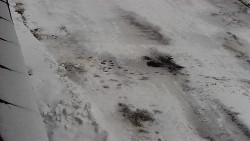 Nástup na běžecké tratě