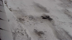 Nástup na běžecké tratě