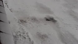 Nástup na běžecké tratě