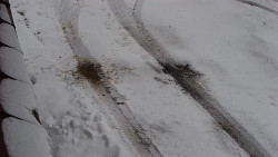 Nástup na běžecké tratě