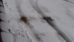 Nástup na běžecké tratě