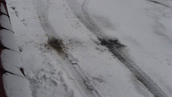 Nástup na běžecké tratě