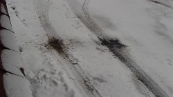 Nástup na běžecké tratě