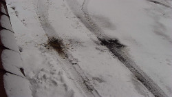 Nástup na běžecké tratě