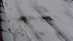 Nástup na běžecké tratě