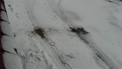 Nástup na běžecké tratě