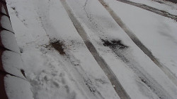 Nástup na běžecké tratě