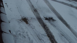 Nástup na běžecké tratě