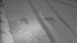 Nástup na běžecké tratě