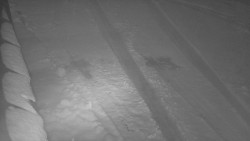 Nástup na běžecké tratě