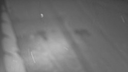 Nástup na běžecké tratě