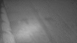 Nástup na běžecké tratě