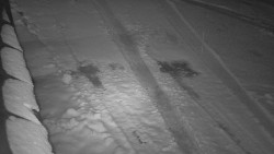 Nástup na běžecké tratě