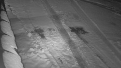 Nástup na běžecké tratě