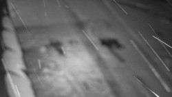 Nástup na běžecké tratě