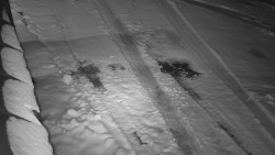 Nástup na běžecké tratě