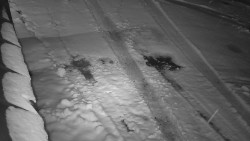 Nástup na běžecké tratě