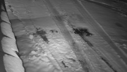 Nástup na běžecké tratě