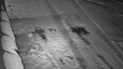 Nástup na běžecké tratě