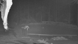 Nástup na běžecké tratě