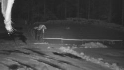 Nástup na běžecké tratě