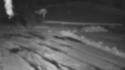 Nástup na běžecké tratě