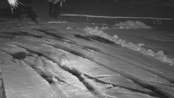 Nástup na běžecké tratě