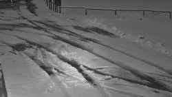 Nástup na běžecké tratě