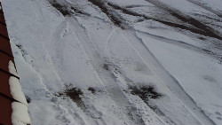 Nástup na běžecké tratě