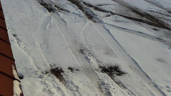 Nástup na běžecké tratě